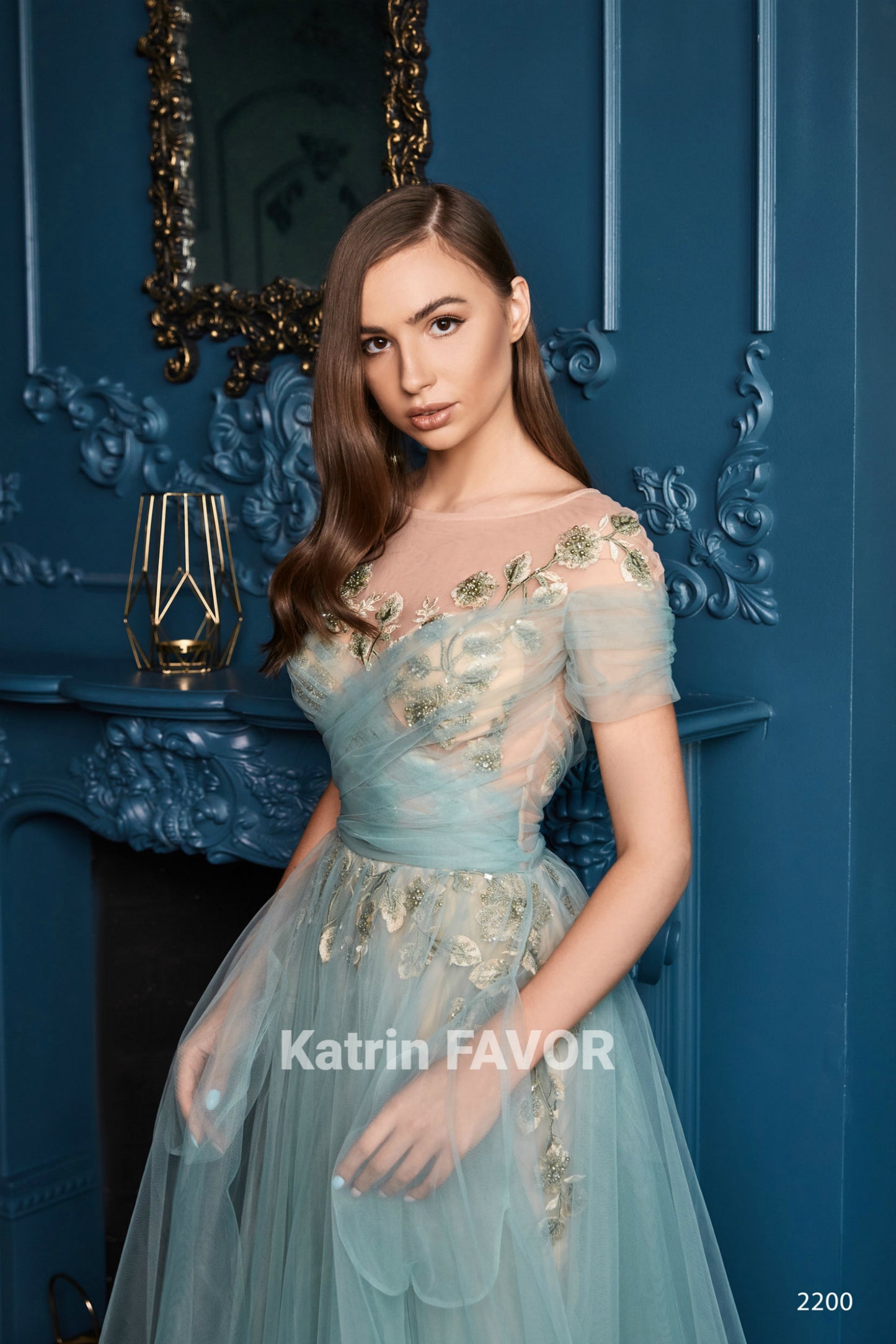 Embroidered see through evening dress