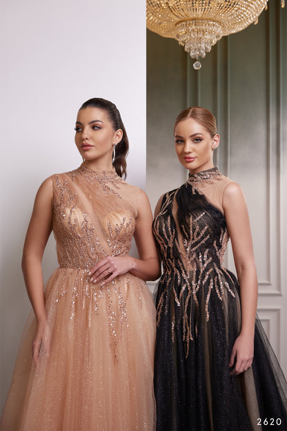 One shoulder illusion sparkle tulle evening gown