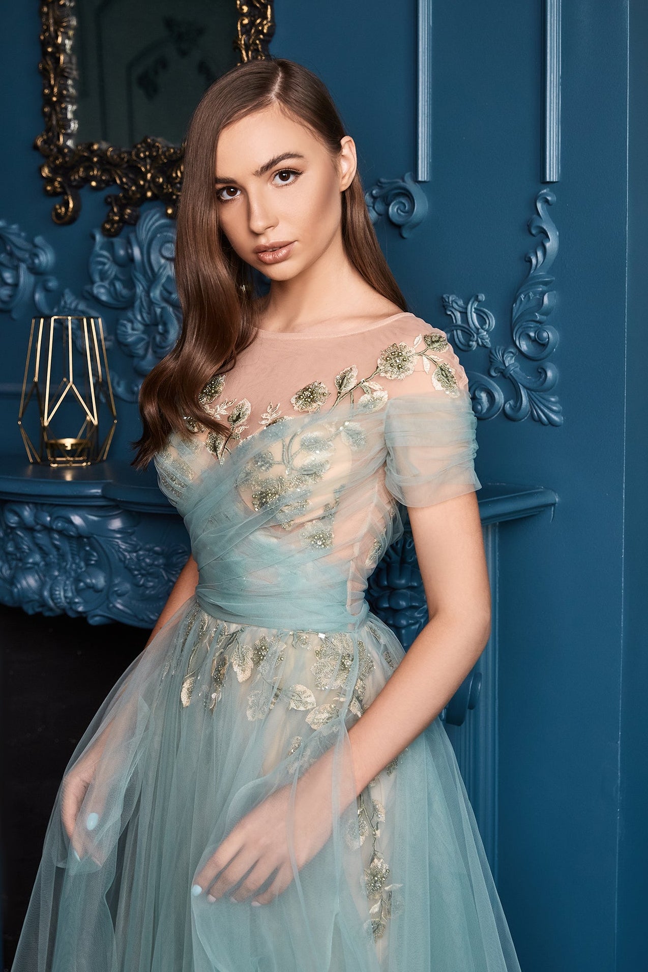 Embroidered see through evening dress