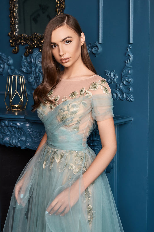 Embroidered see through evening dress