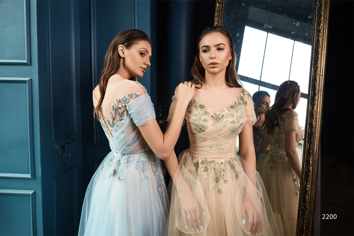 Embroidered see through evening dress