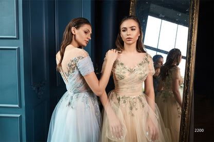 Embroidered see through evening dress