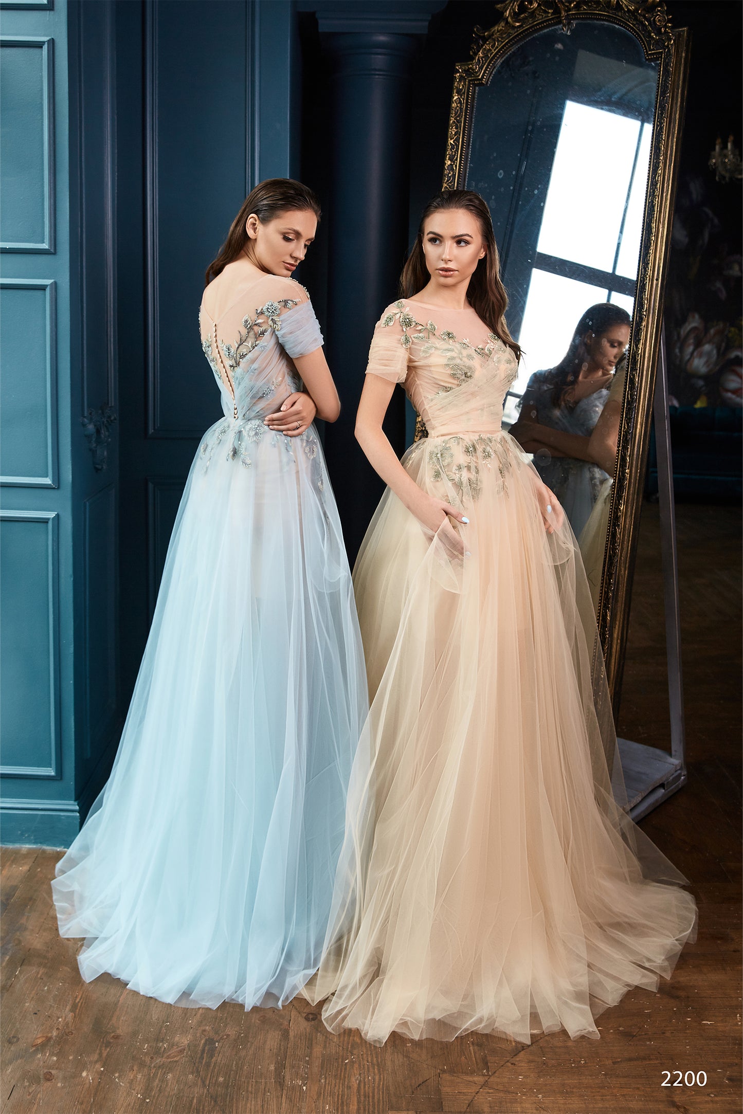 Embroidered see through evening dress